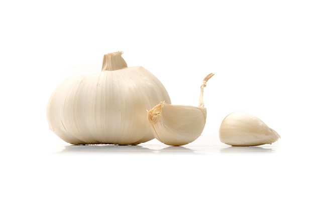 Knoflook Verstegen
